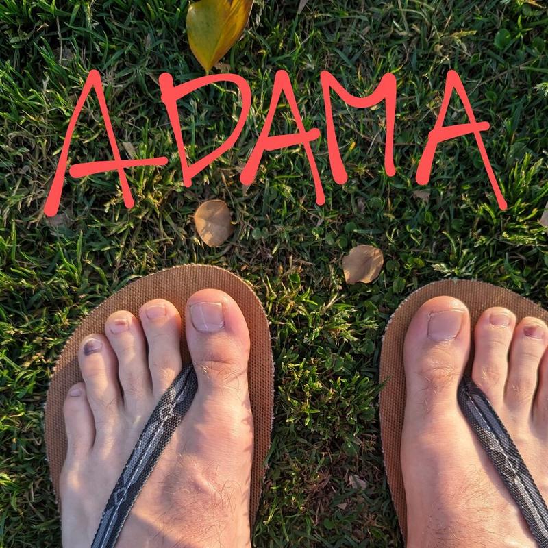 Insert Adama
