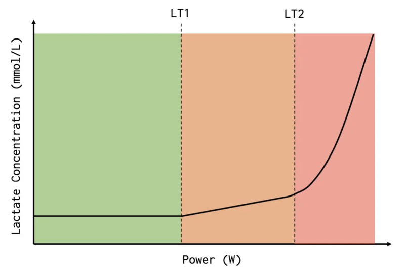 3 zone model
