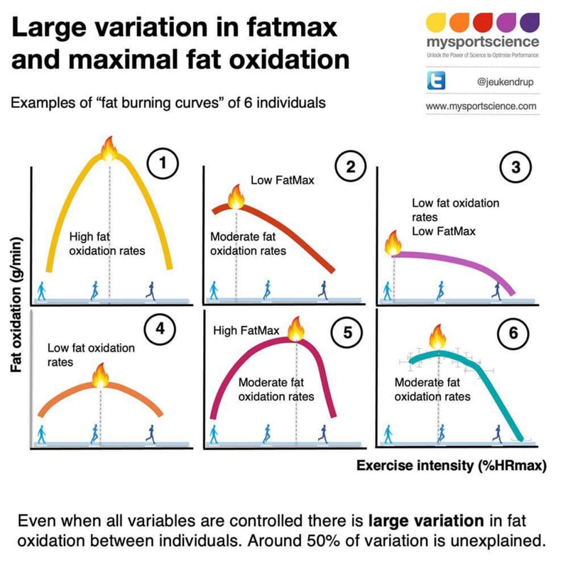 fat oxydation