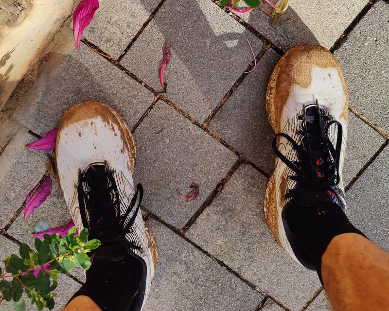 mizuno wave rider 26 dirty