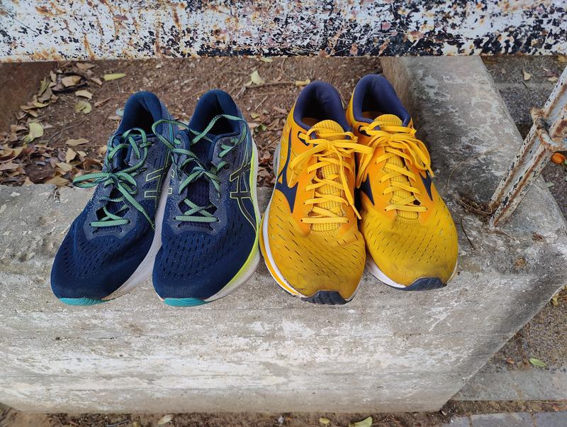 retired daily trainers