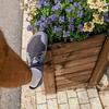 Me wearing brand new Vivobarefoot Primus Light III shoes on stone pavers next to a rustic wooden planter box filled with vibrant purple and cream-colored pansies